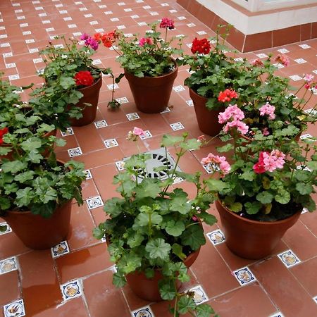Apartamentos Las Cruces Seville Luaran gambar